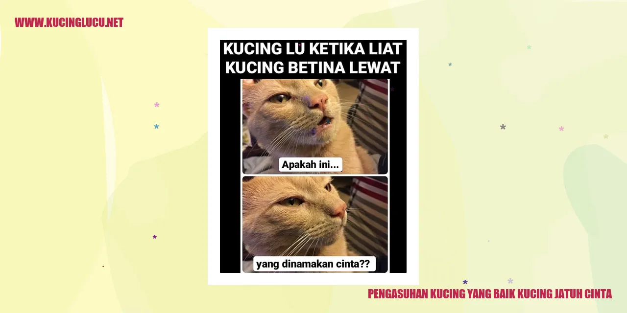 Ilustrasi Kucing Jatuh Cinta