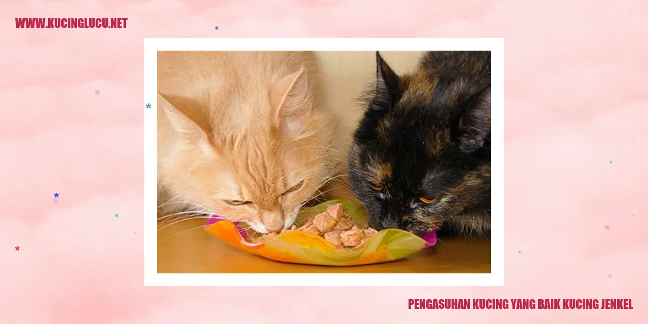 pengasuhan kucing jantan