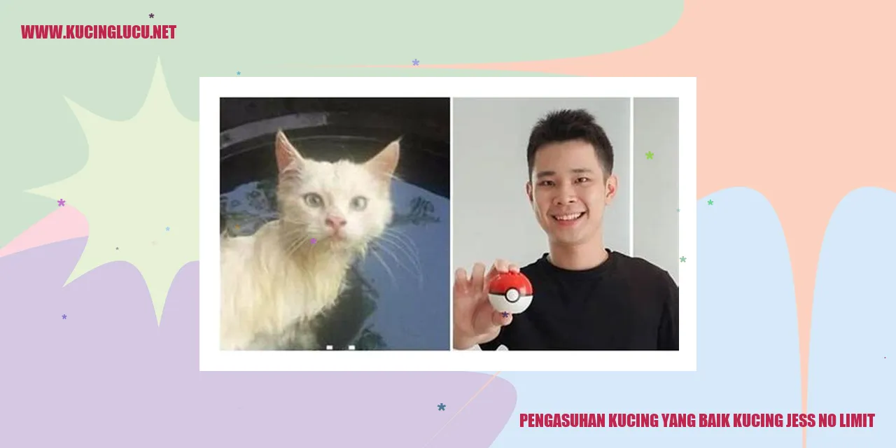 Kucing yang Sehat dan Bahagia