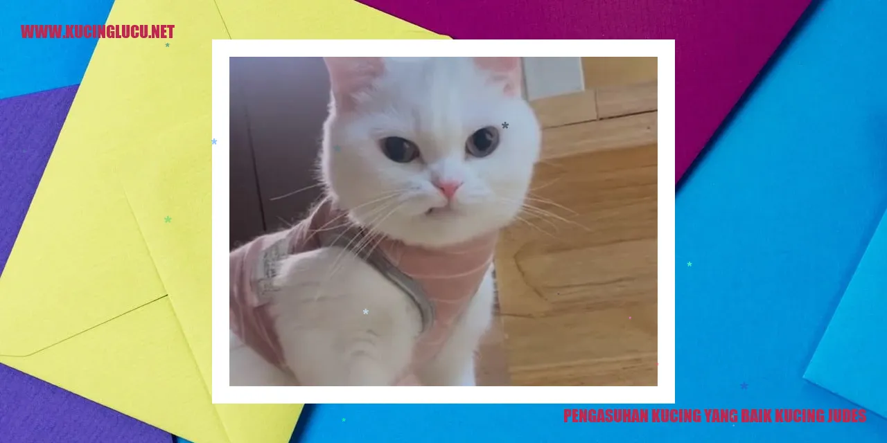 Gambar Kucing Judes