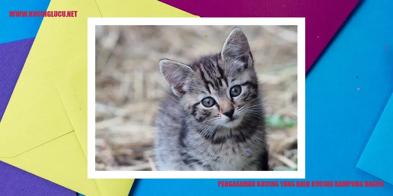 Kucing Kampung