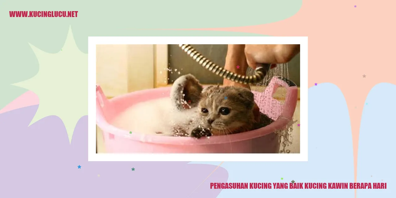 Gambar Kucing yang Sehat