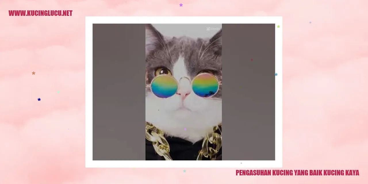 Pengasuhan Kucing yang Baik