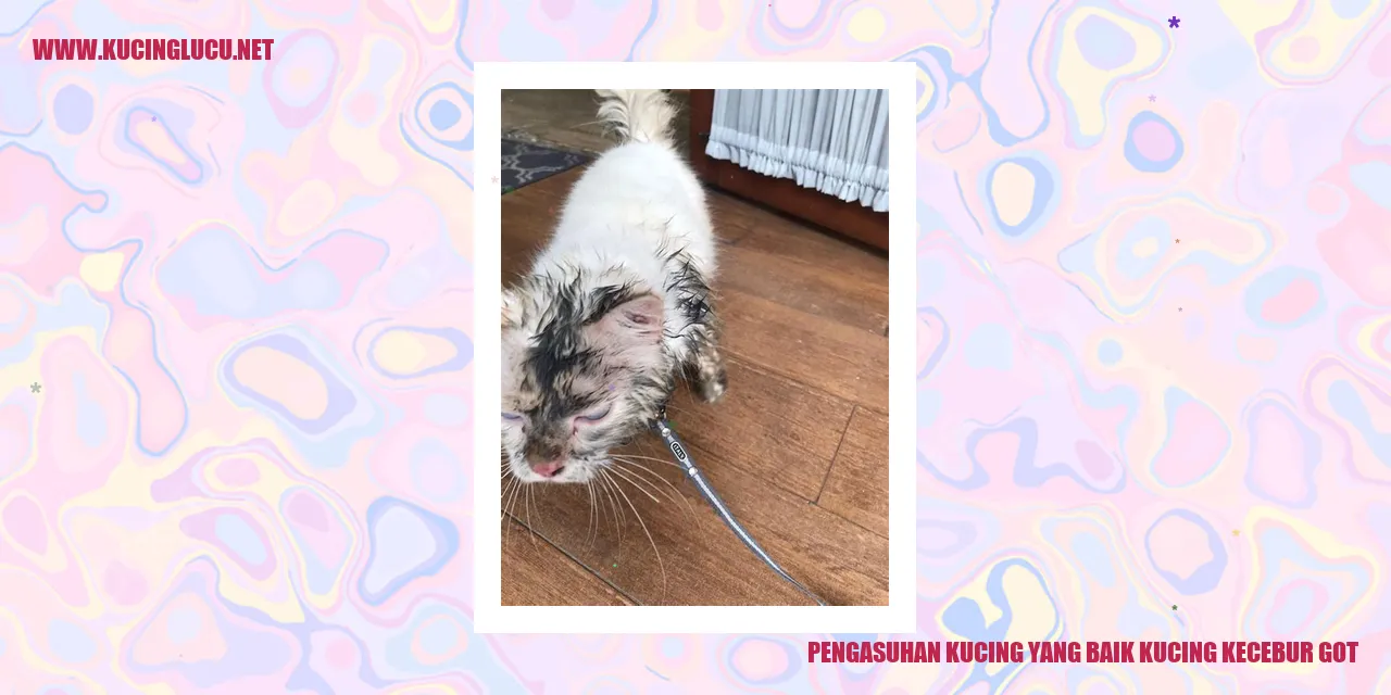 Gambar Kucing yang Bahagia