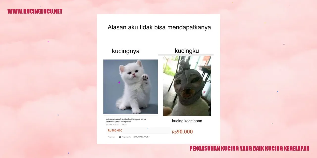 Kucing Kegelapan