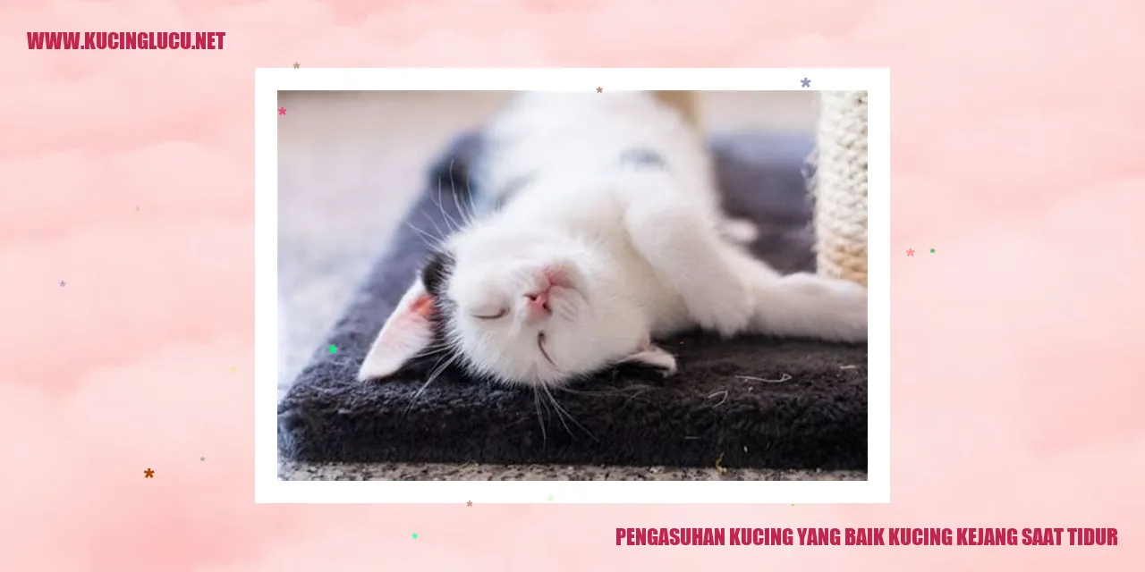 Gambar Kucing yang Kejang saat Tidur