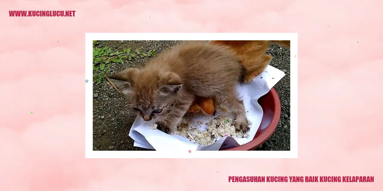 Kucing Kelaparan