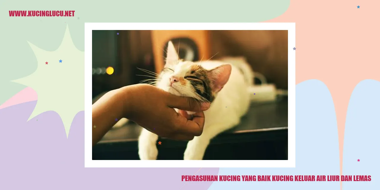 Pengasuhan Kucing yang Baik