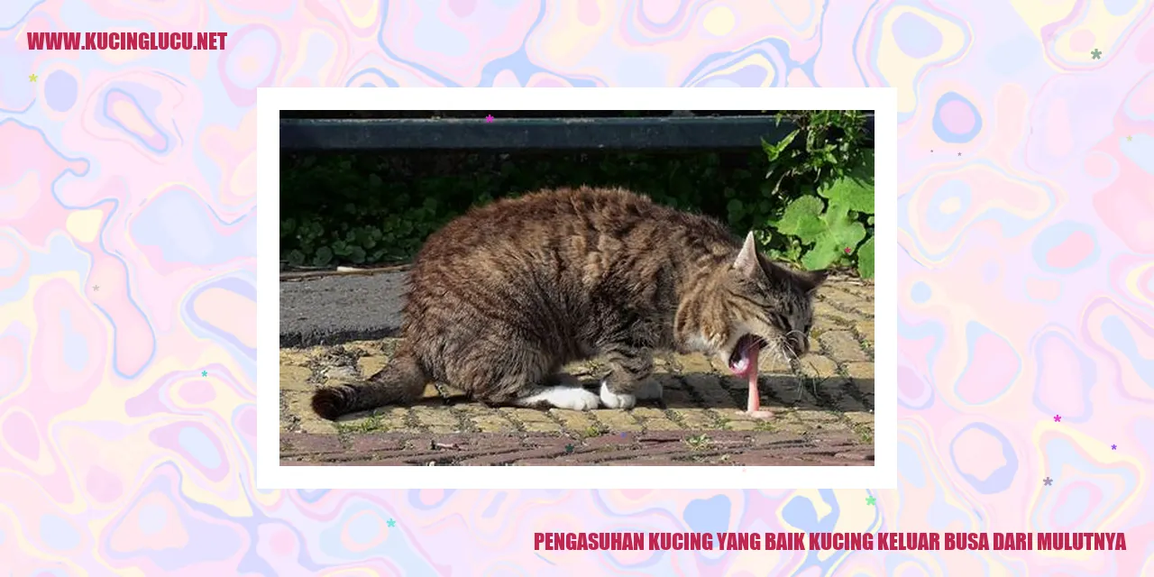 Kucing yang Sehat dan Ceria