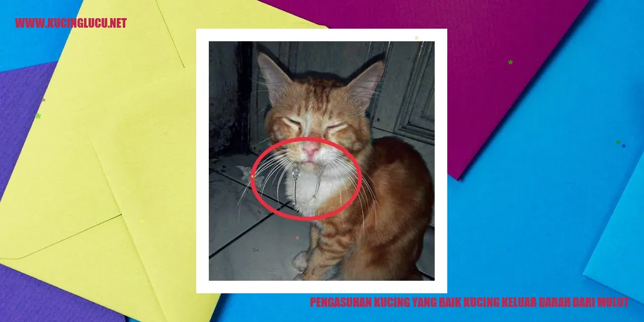 gambar kucing