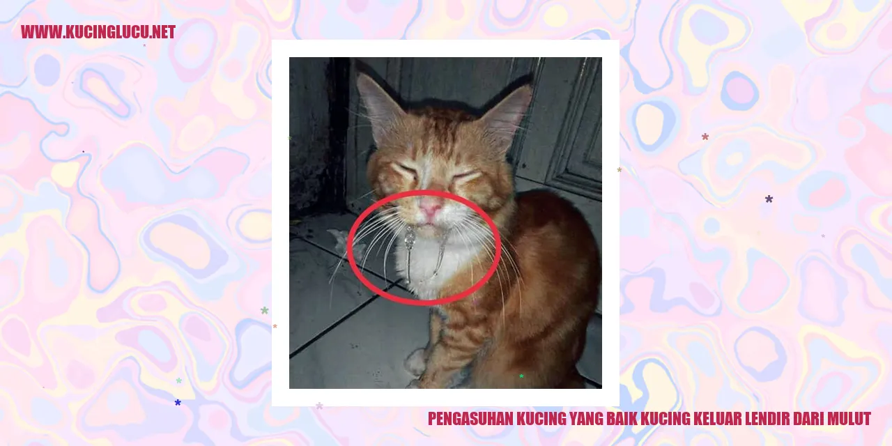 Gambar Kucing Mengeluarkan Lendir