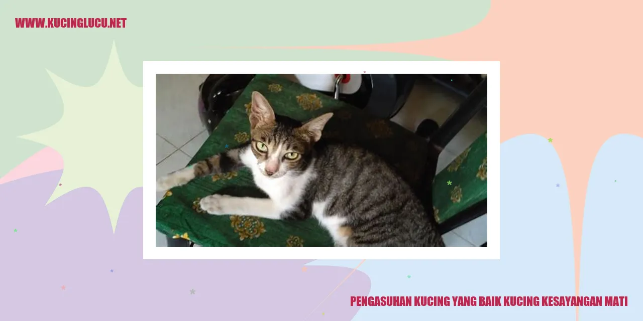 Kucing Kesayangan Mati