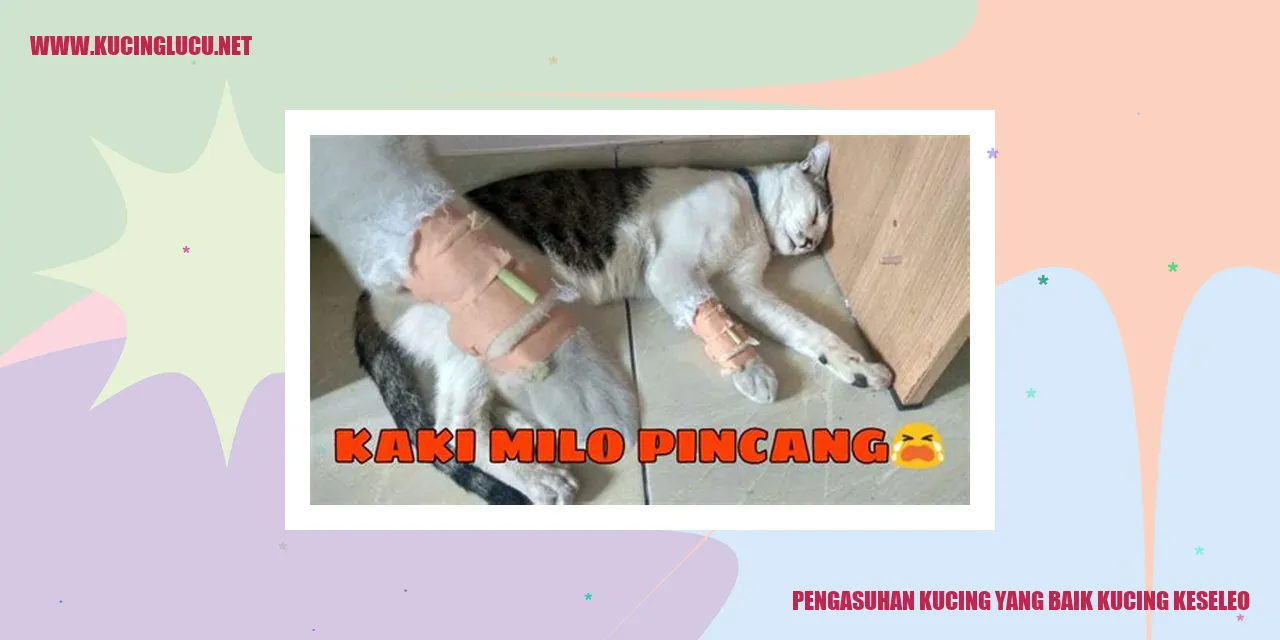 Kucing yang Baik