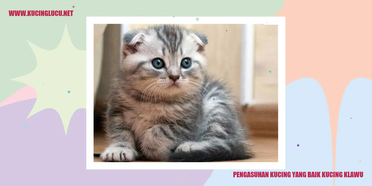 Kucing senang