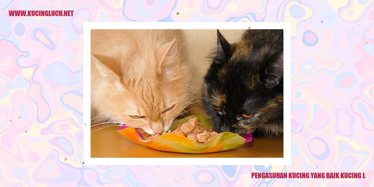 Pengasuhan Kucing yang Baik