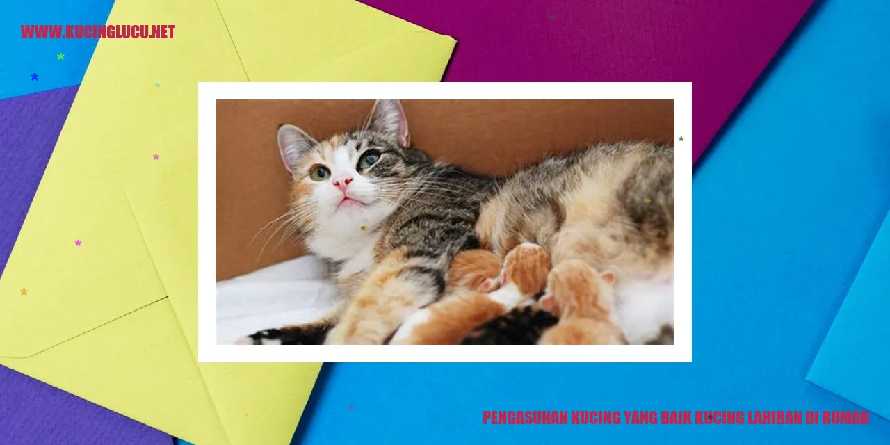 Pengasuhan Kucing yang Baik