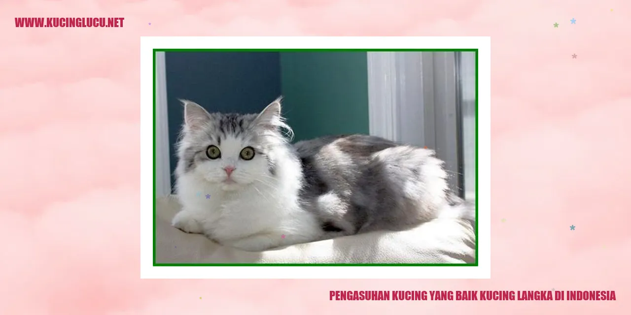 Pengasuhan Kucing yang Baik kucing langka di Indonesia