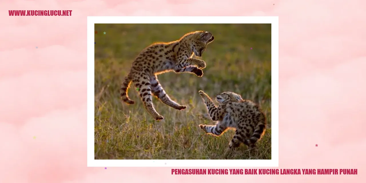 Kucing Langka yang Hampir Punah