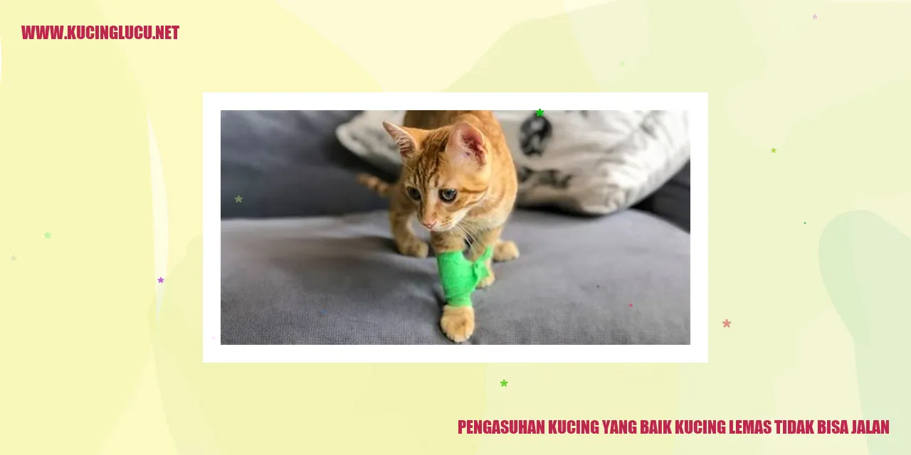 Kucing Lemas dan Tidak Bisa Jalan