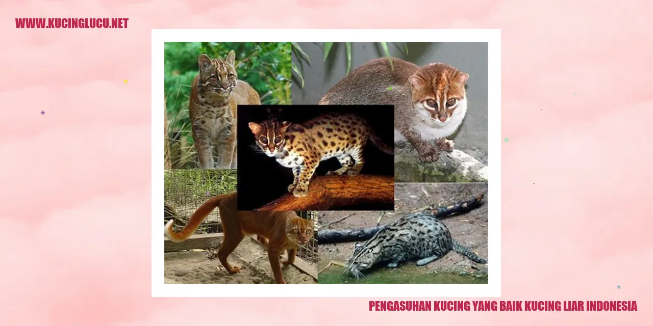 Kucing Liar Indonesia