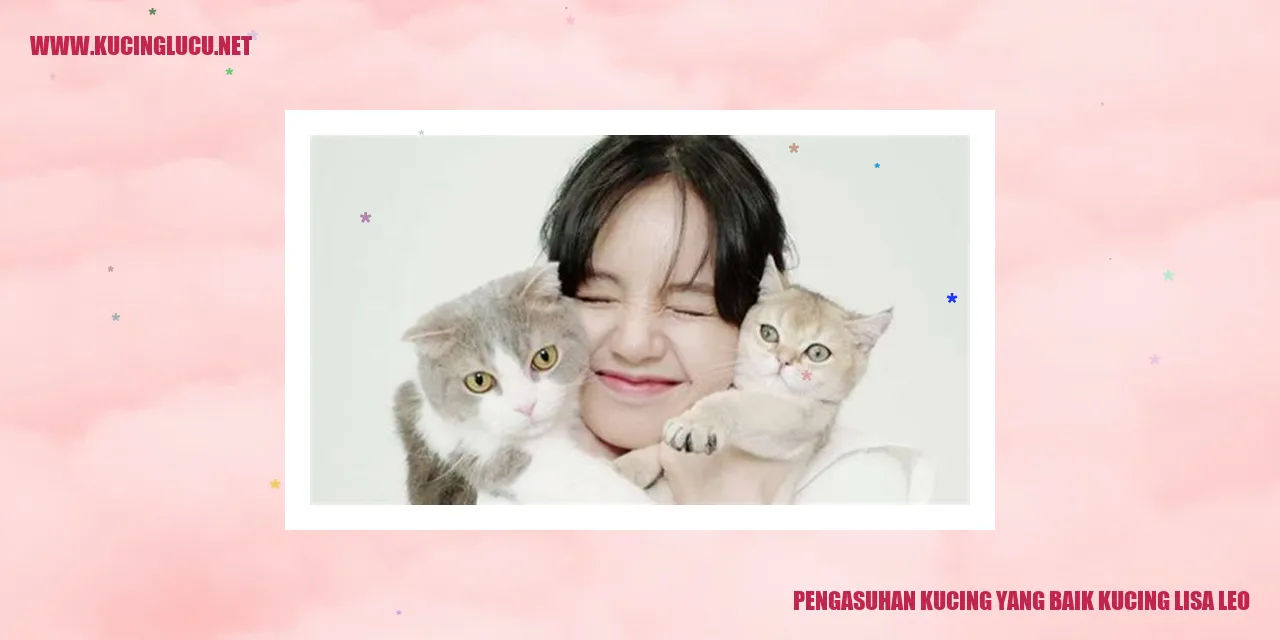 Foto Kucing Menggemaskan