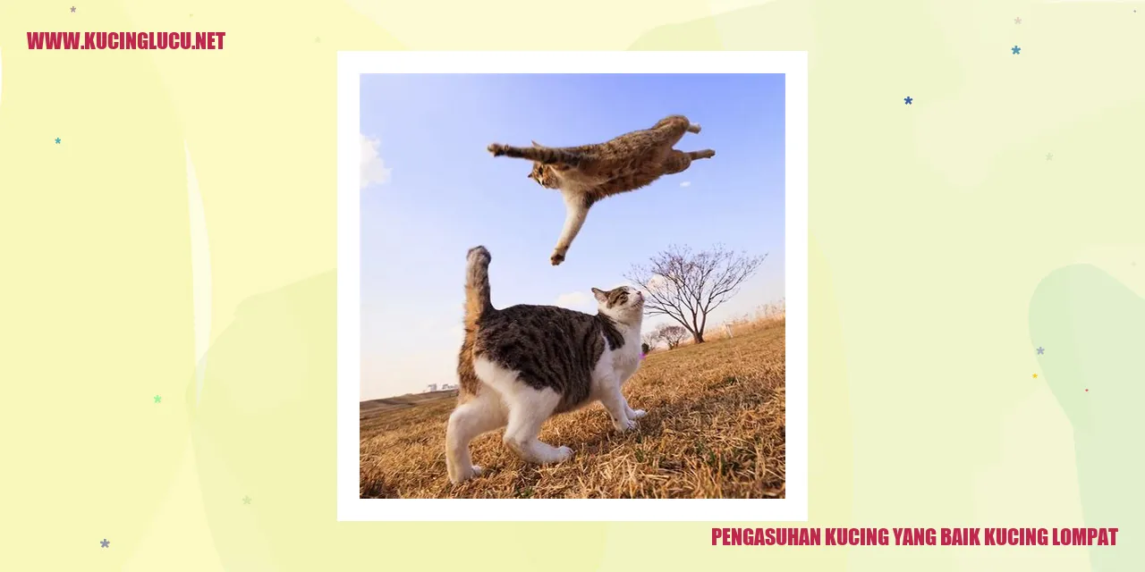 Gambar Kucing yang Lompat