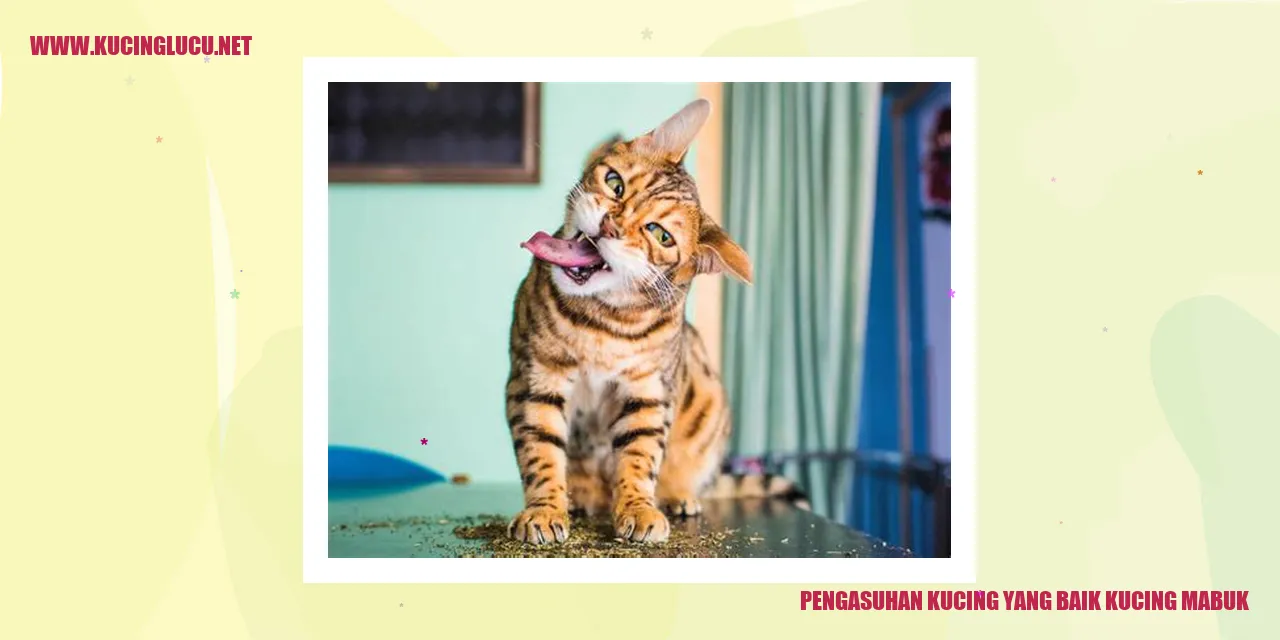 Gambar kucing bahagia