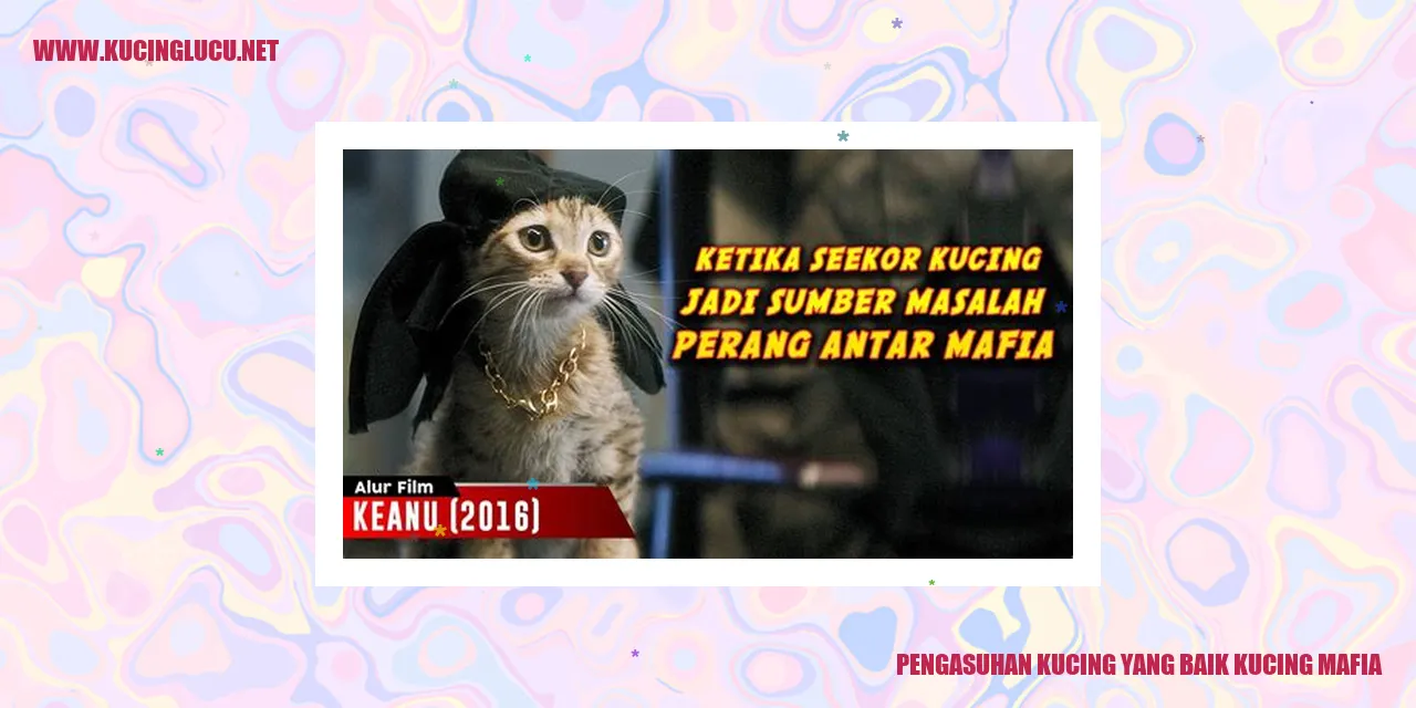 Kucing Mafia yang Sehat