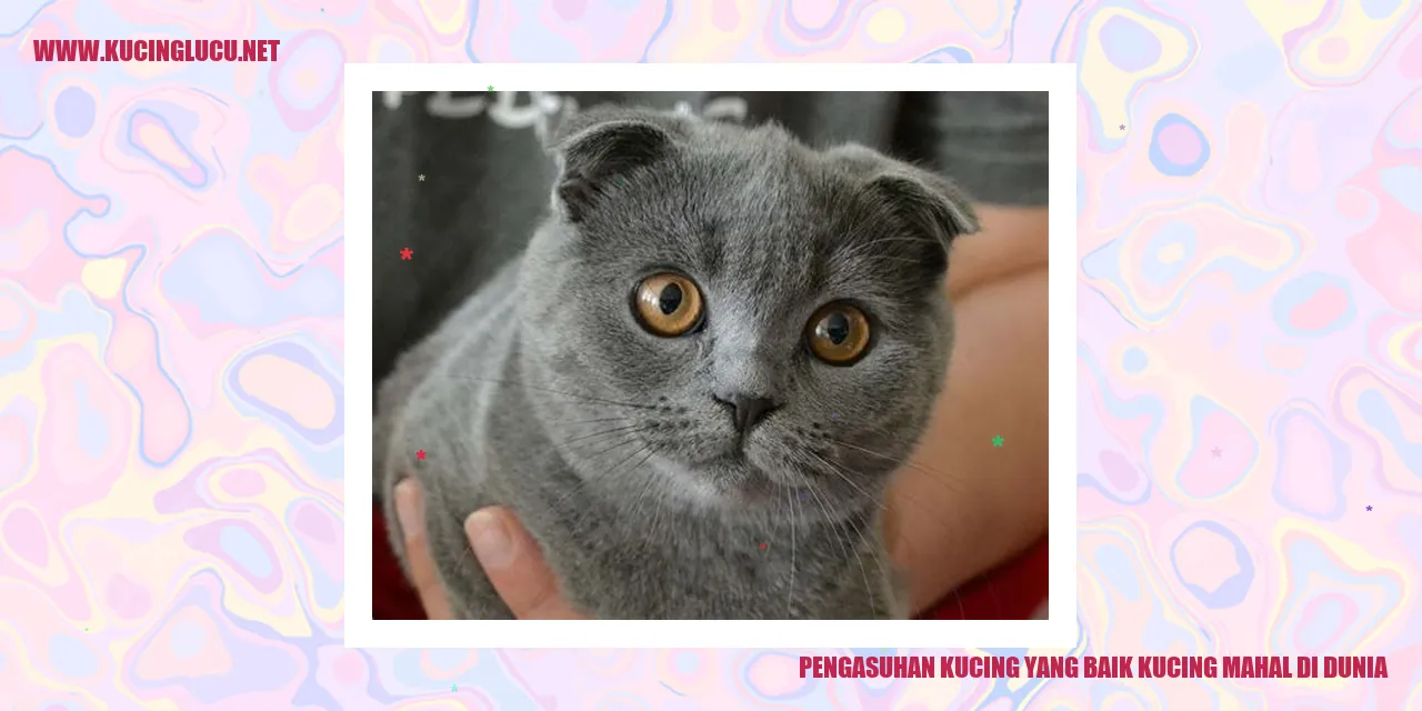 Gambar Kucing Menggemaskan