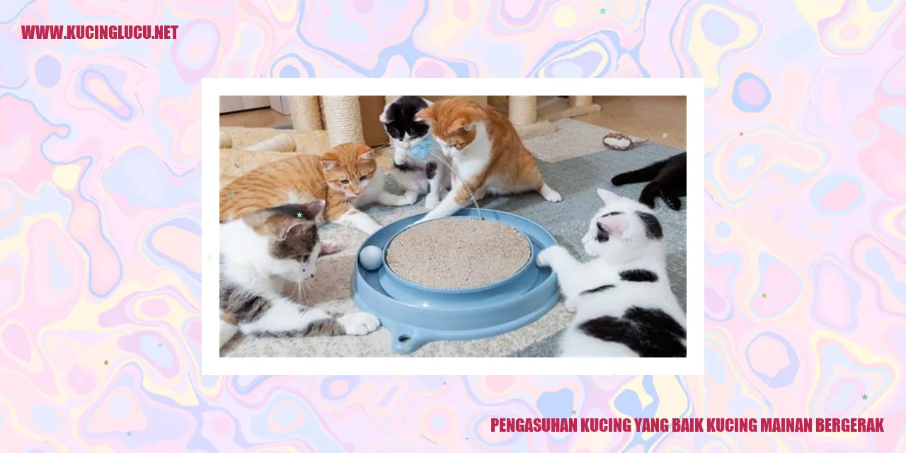 kucing yang bahagia dan sehat