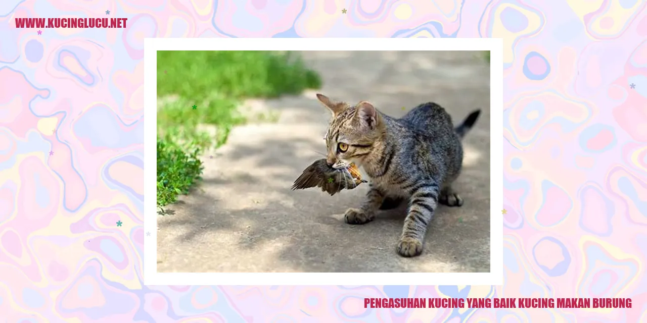 Gambar Kucing sedang menangkap burung
