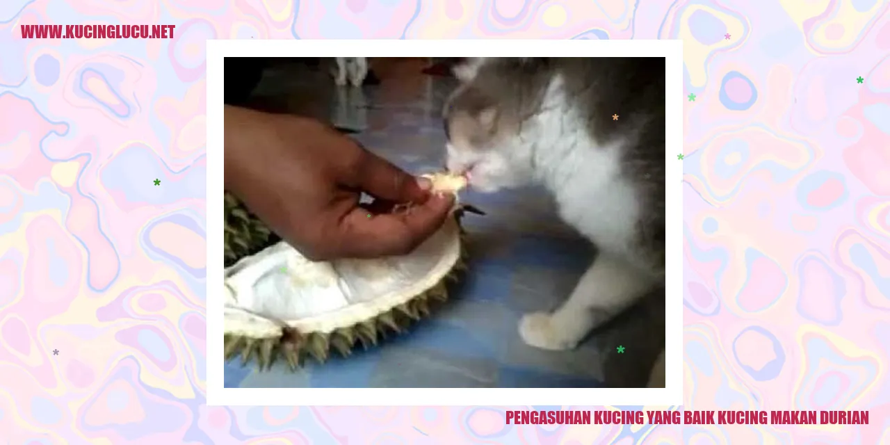 Kucing Makan Durian