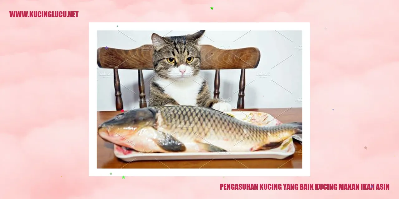 kucing makan ikan asin