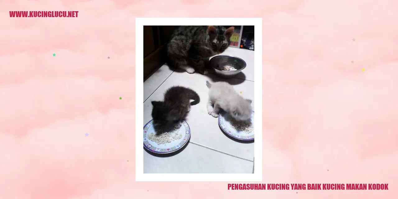 Kucing sedang memakan kodok