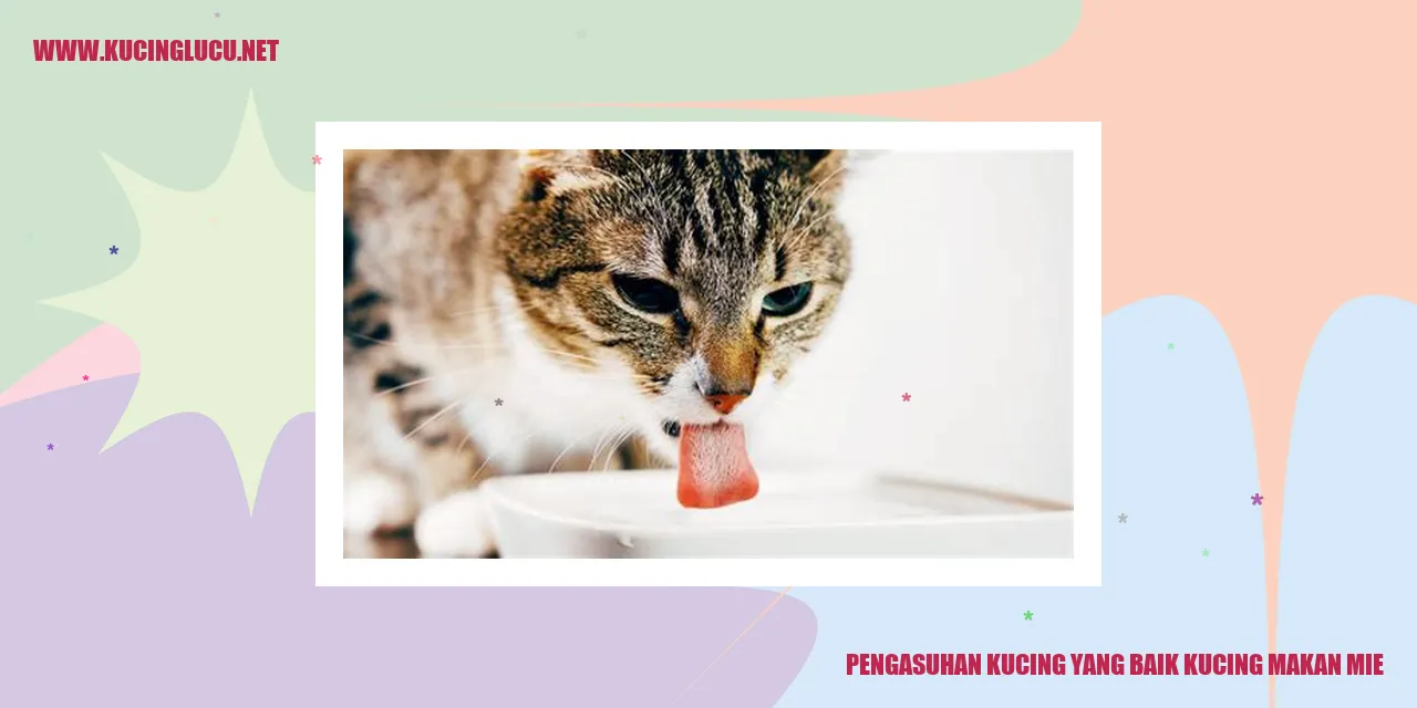 Kucing makan mie
