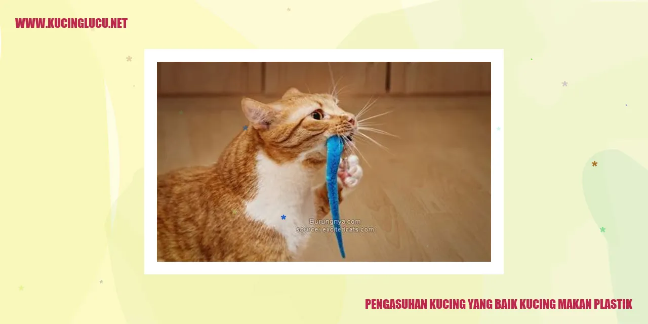 Kucing Memakan Plastik