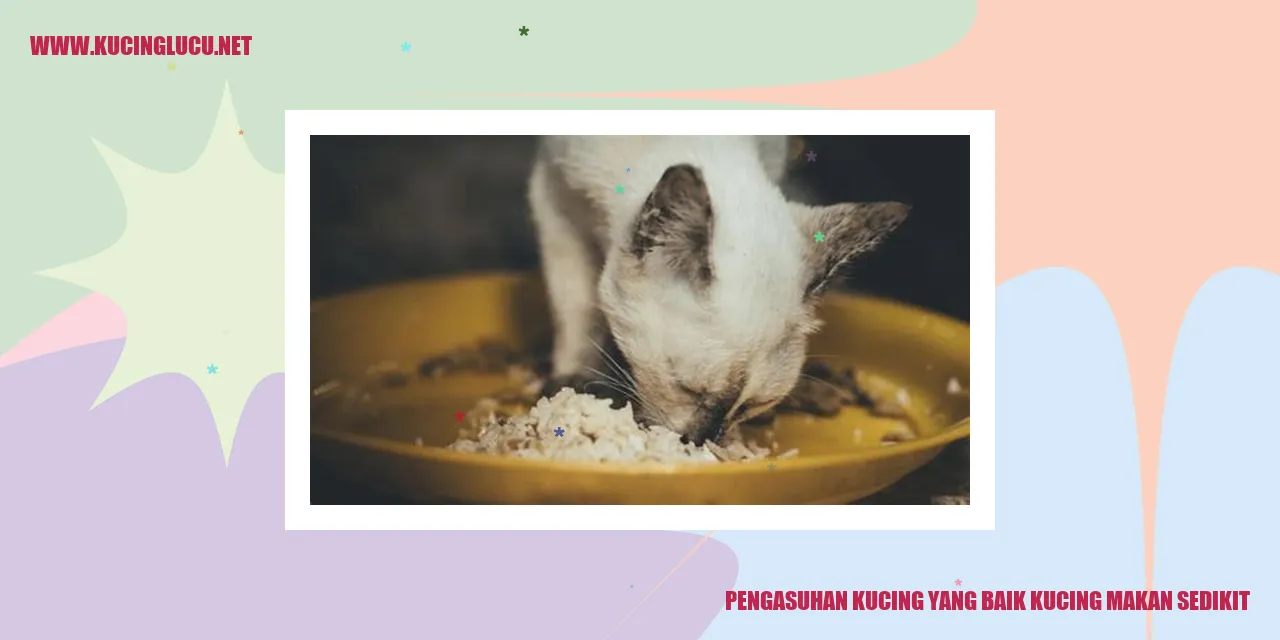 Gambar Kucing
