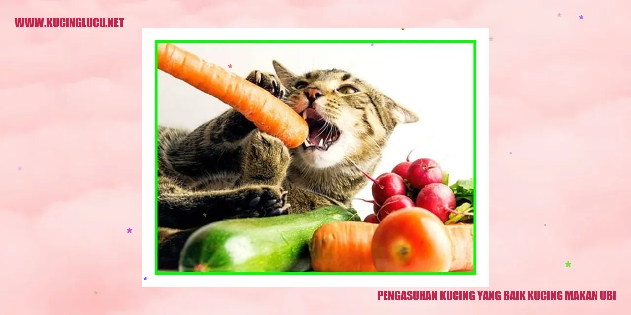 gambar kucing lucu