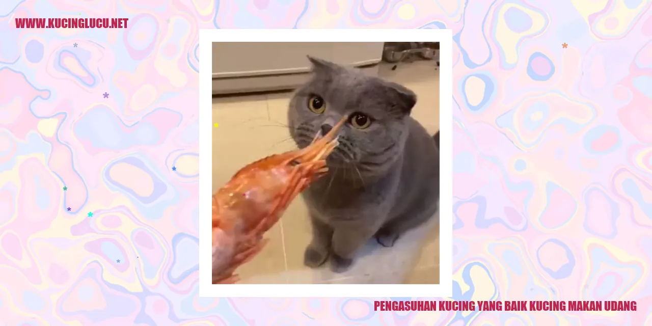 Kucing makan udang