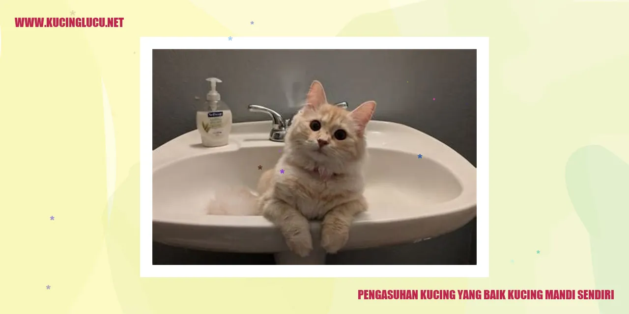 Kucing Mandi Sendiri