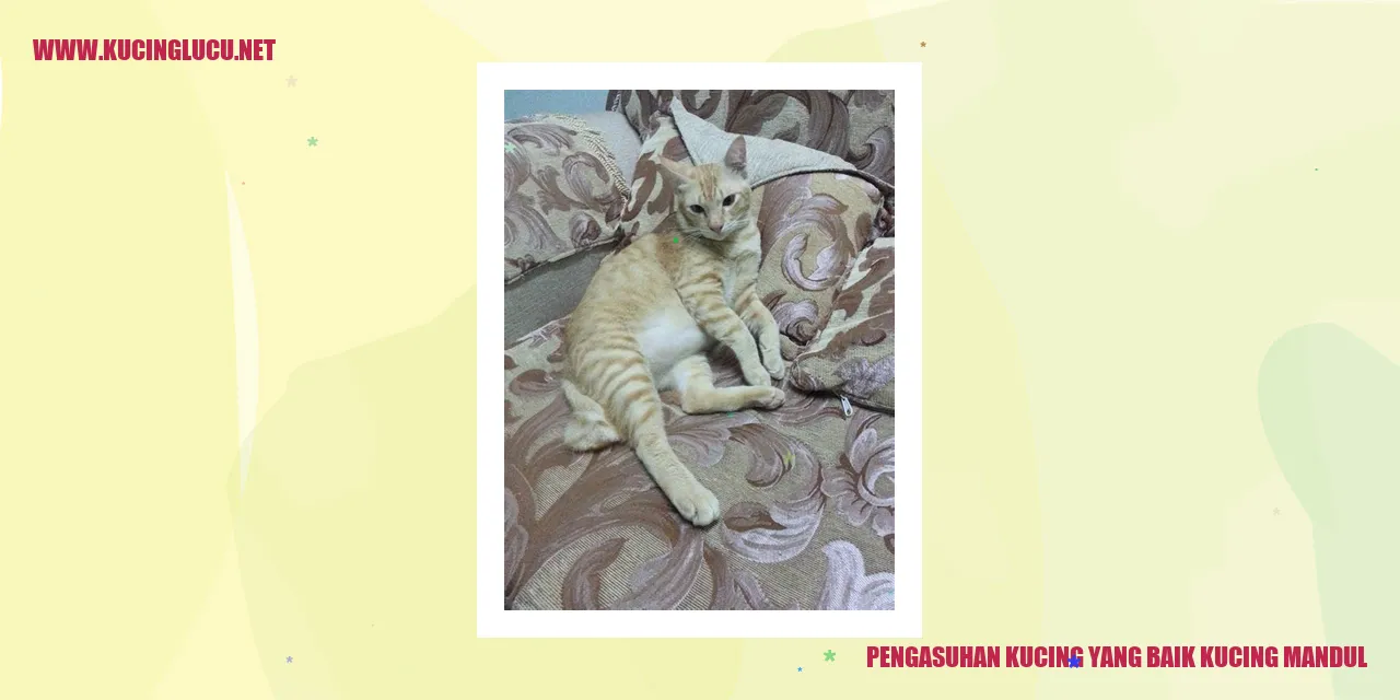 Pengasuhan Kucing yang Baik kucing mandul