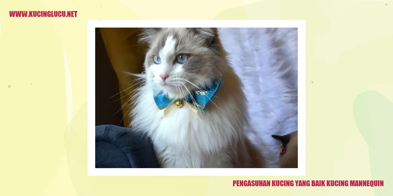 Kucing yang bahagia