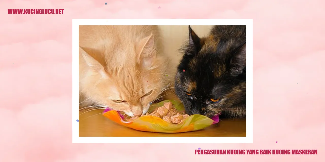 Gambar Kucing Lucu