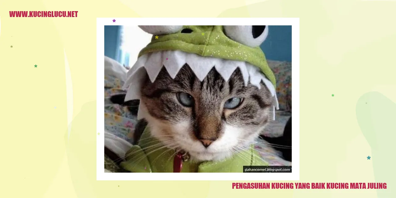 Gambar kucing yang lucu