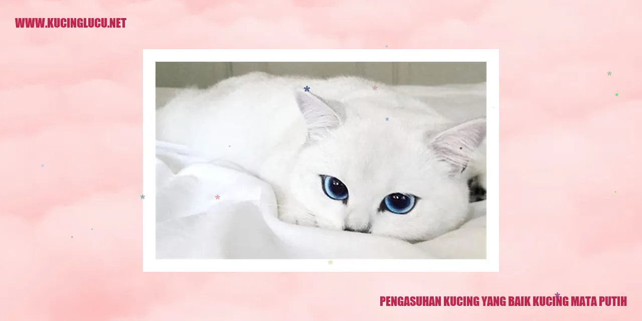 Kucing Mata Putih