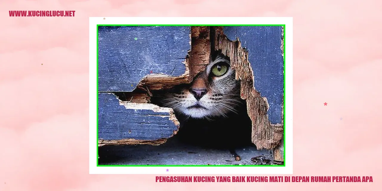 Ilustrasi Kucing