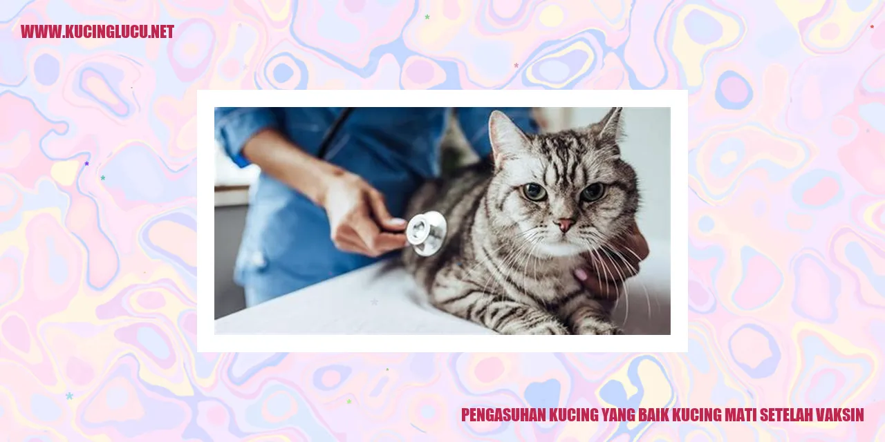 Kucing dengan perawatan yang baik