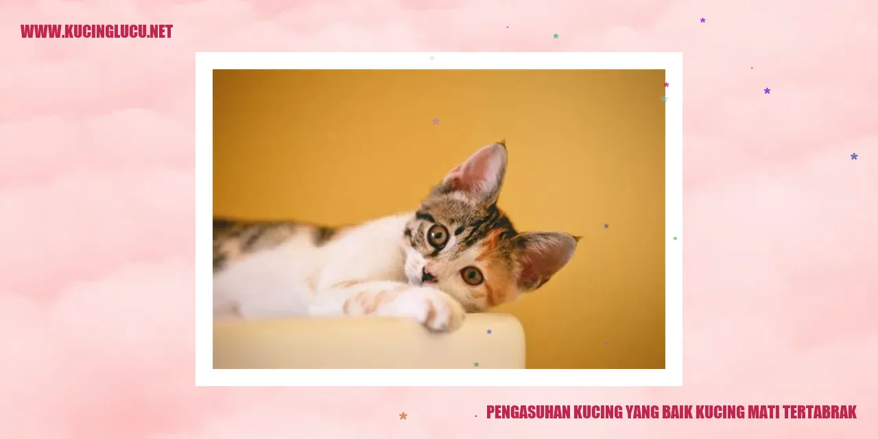 Gambar Menawan Kucing