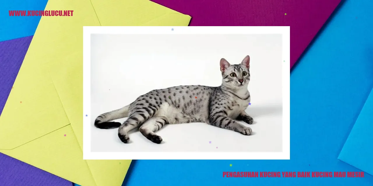 Gambar kucing yang sehat dan bahagia