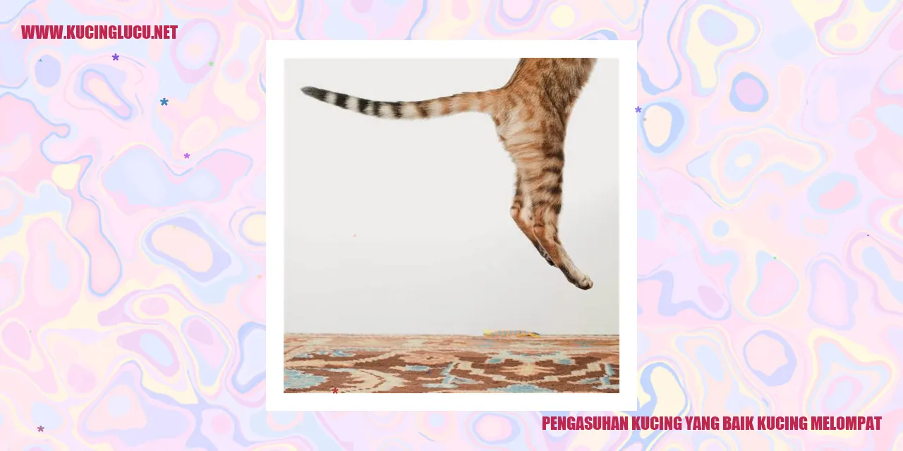 Gambar Kucing Melompat